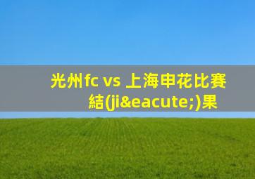 光州fc vs 上海申花比賽結(jié)果